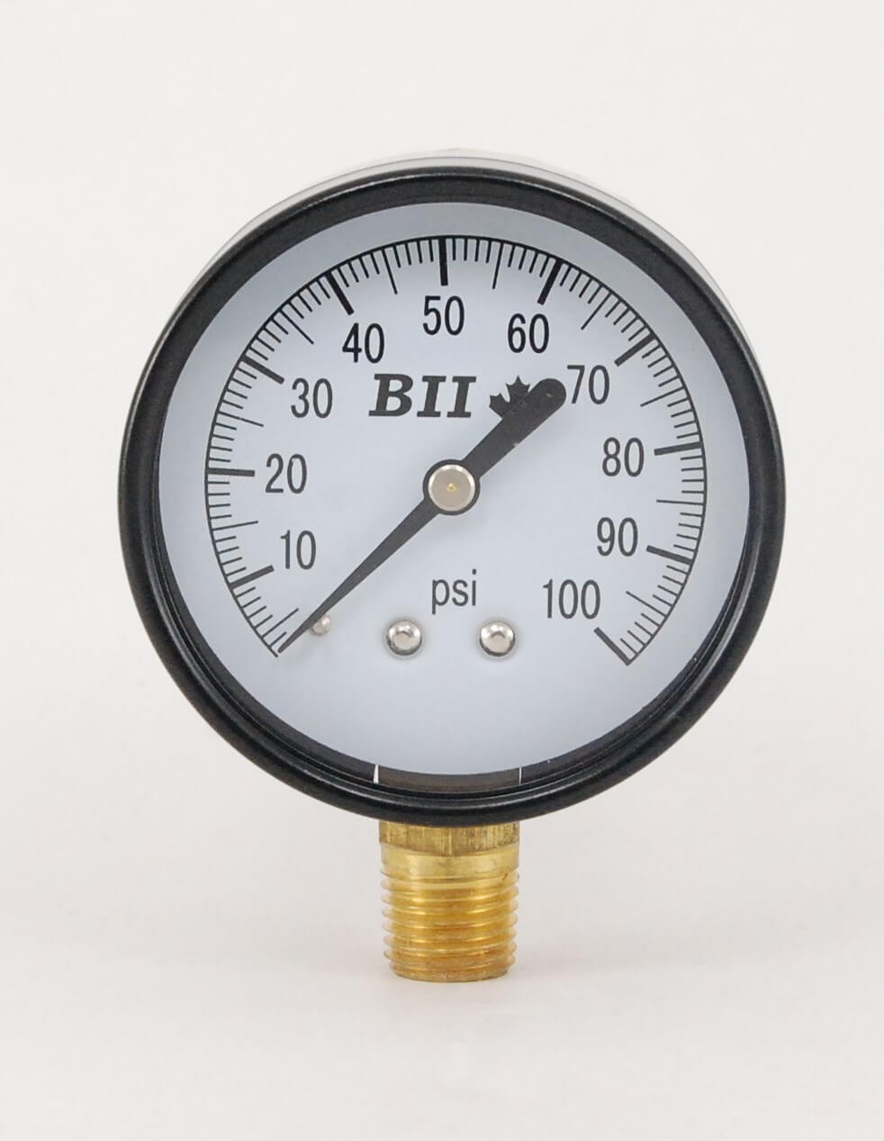 Pressure Gauge, 2.5" Dial, Stainless Steel or Plastic